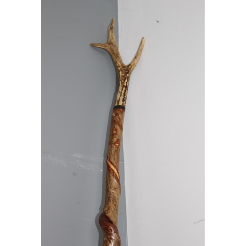 249 - HORN HANDLED HIKING STICK
126CM