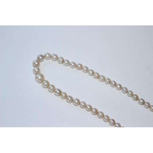 707 - GOLD CLASP WITH DIAMOND, PEARL NECKLACE - NO LOOP