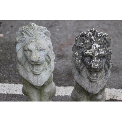 61 - PAIR OF STONE LIONS 
50CM