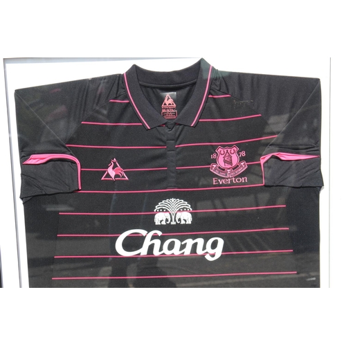 213 - EVERTON SIGNED FOOTBALL SHIRT
87 X 82CM