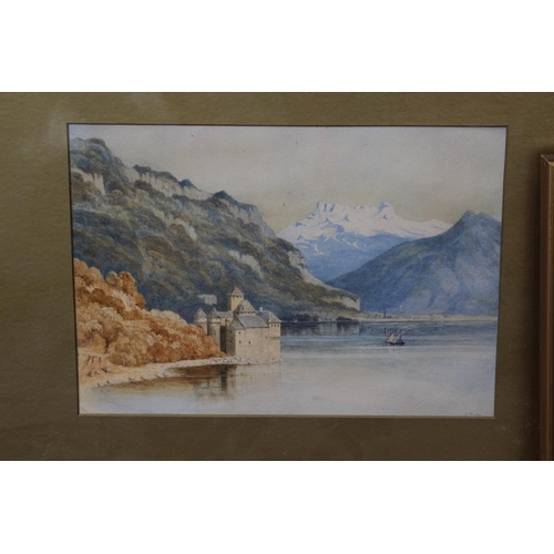 215 - 2 X SIGNED WATERCOLOURS - ONE V W TREVETT
58 X 41CM