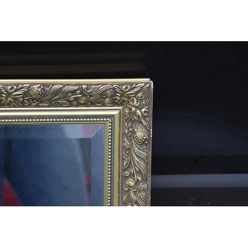 219 - GILT FRAMED MIRROR
102 X 72CM