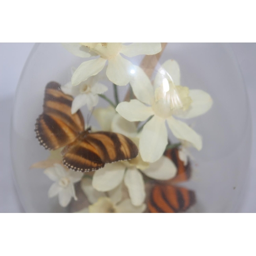 319 - VINTAGE BUTTERFLY DOME
23CM