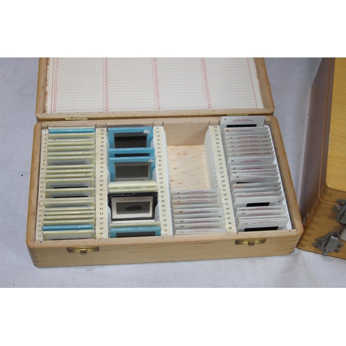 441 - LARGE QUANTITY OF VINTAGE SLIDES AND PROJECTOR