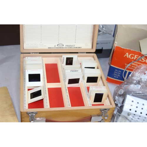 441 - LARGE QUANTITY OF VINTAGE SLIDES AND PROJECTOR