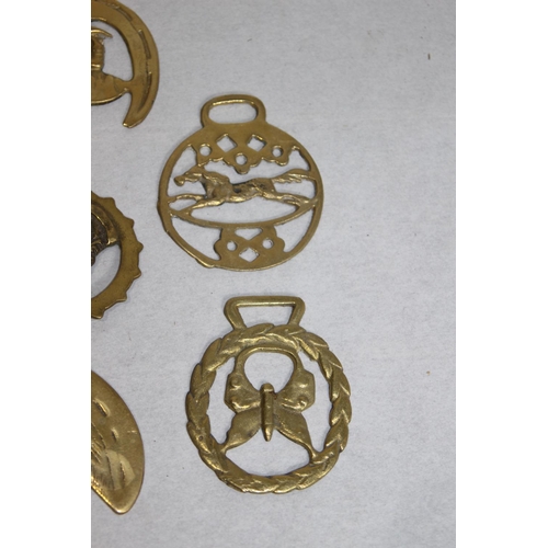 444 - QUANTITY OF HORSE BRASSES