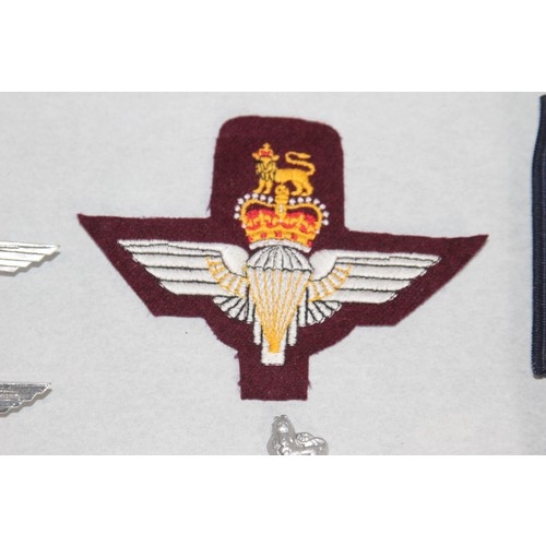 676 - QUANTITY OF PARACHUTE REGIMENT BADGES