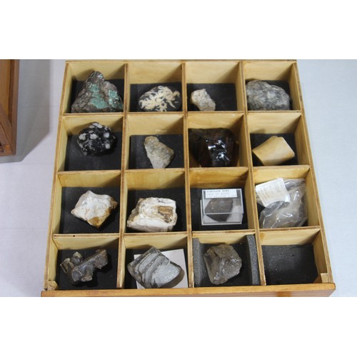 686 - SMALL DRAWERS OF PRE HISTORIC FOSSILS 
BOX IS 41 X 41 X 35CM