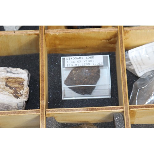 686 - SMALL DRAWERS OF PRE HISTORIC FOSSILS 
BOX IS 41 X 41 X 35CM