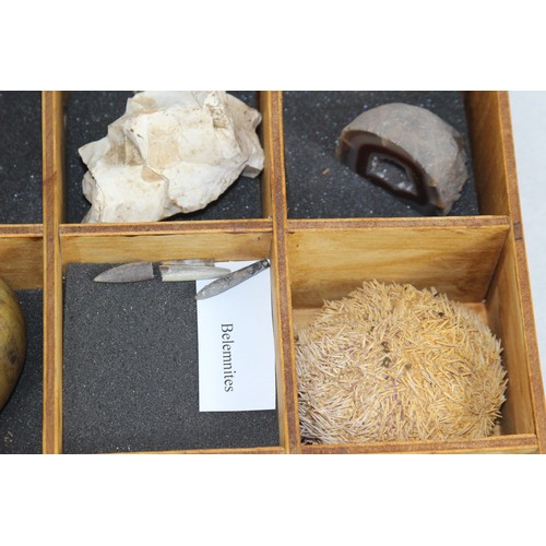 686 - SMALL DRAWERS OF PRE HISTORIC FOSSILS 
BOX IS 41 X 41 X 35CM