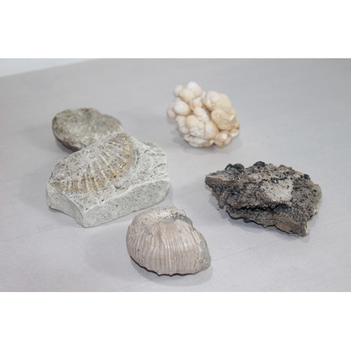 687 - BOX OF FOSSIL CORAL ETC
BOX IS 34 X 34 X 16