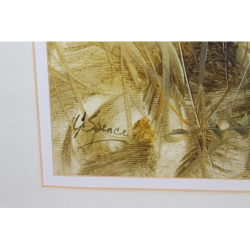 149 - SIGNED OIL ON LINEN
64 X 54CM