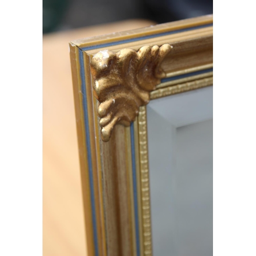 172 - ORNATE DRESS MIRROR
126 X 40CM