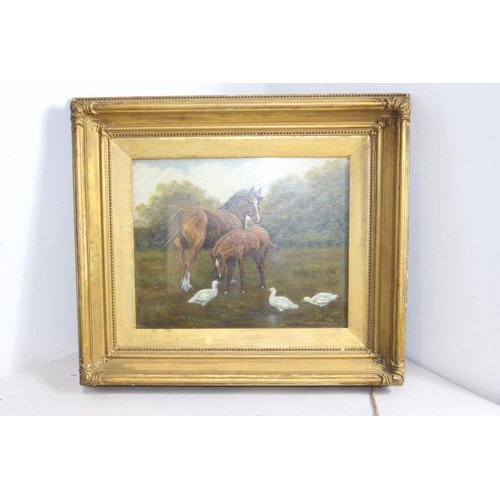 175 - SIGNED OIL ON BOARD HORSE IN FIELD BY FRED WILLIAM
59 X 50CM