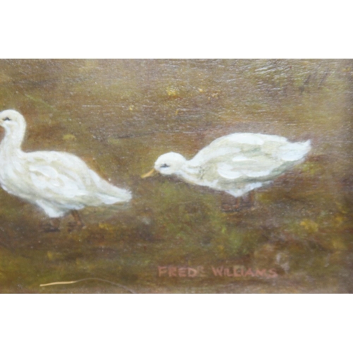 175 - SIGNED OIL ON BOARD HORSE IN FIELD BY FRED WILLIAM
59 X 50CM