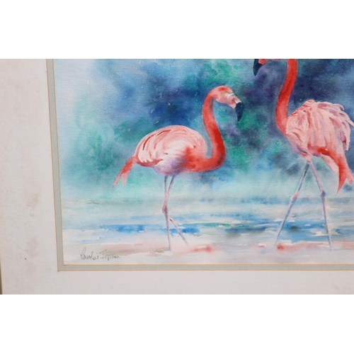182 - SIGNED WATERCOLOUR OF FLAMINGOS
54 X 44CM