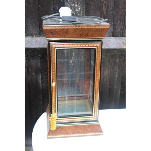 115 - SMALL LIGHT UP CABINET
25 X 49CM