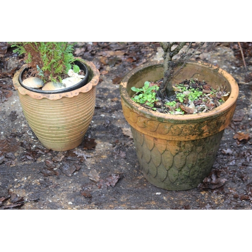 154 - 2 X GARDEN POTS WITH PLANTS 
38 X 34CM