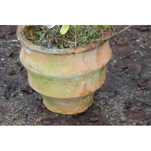 166 - GARDEN POT WITH PLANT
40 X 38CM