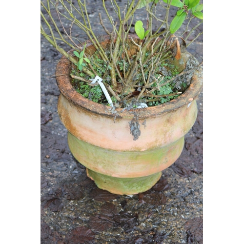 166 - GARDEN POT WITH PLANT
40 X 38CM