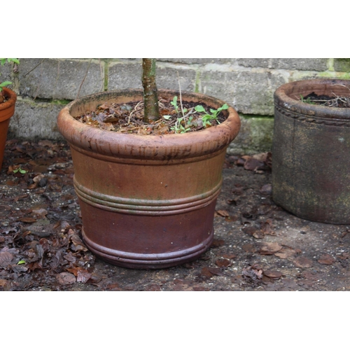 171 - LARGE GARDEN POT WITH TREE 
66 X 56CM