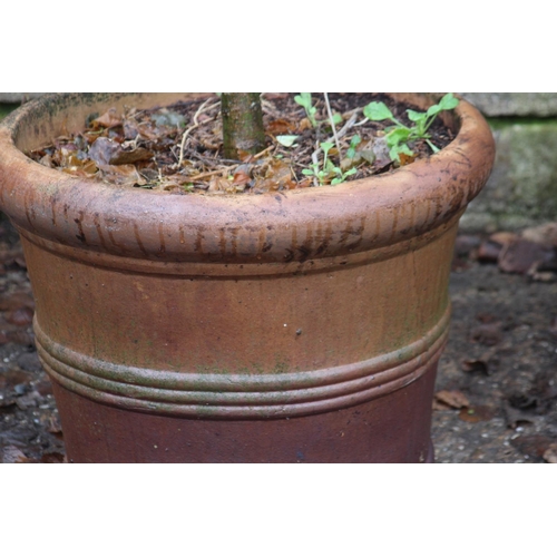 171 - LARGE GARDEN POT WITH TREE 
66 X 56CM