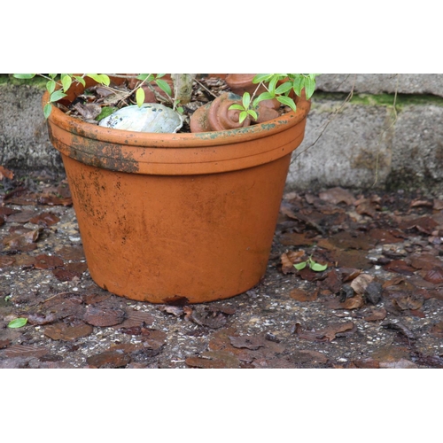 172 - LARGE GARDEN POT 
49 X 38CM