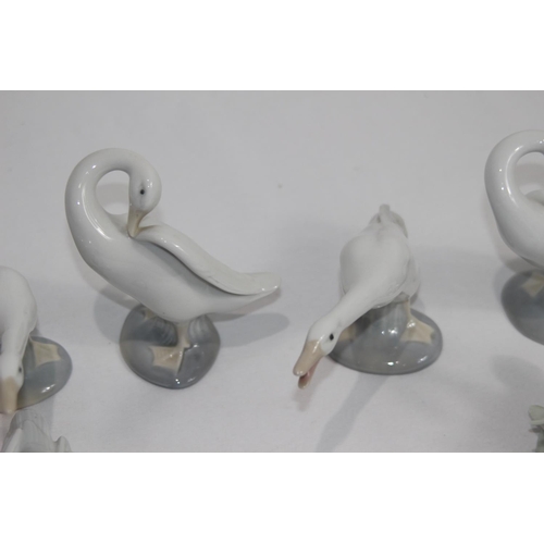 364 - 6 X LLADRO DUCK FIGURES 
12CM