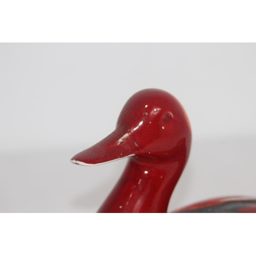 407 - POOLE POTTERY DUCK IN VOLCANO PATTERN
14 X 19CM