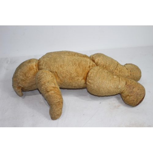 548 - VINTAGE TEDDY BEAR
56CM