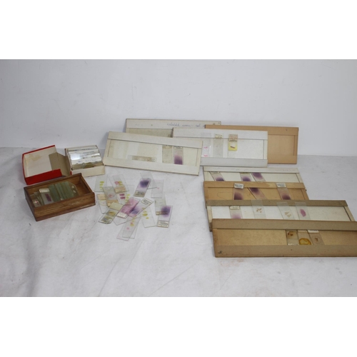 564 - BOX OF VINTAGE MICROSCOPE SLIDES