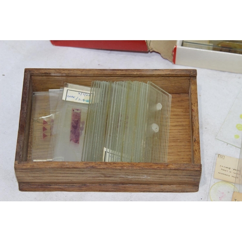 564 - BOX OF VINTAGE MICROSCOPE SLIDES