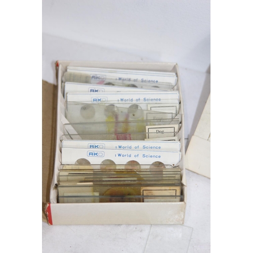 564 - BOX OF VINTAGE MICROSCOPE SLIDES