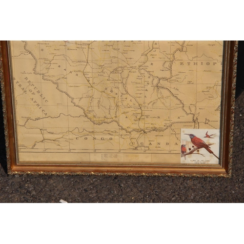 169 - VINTAGE MAP OF SUDAN
66 X 50CM