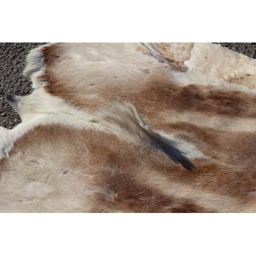 214 - SMALL ANIMAL HIDE
83 X 66CM