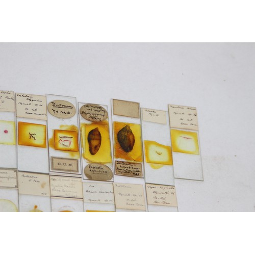 527 - QUANTITY OF ANTIQUE SLIDES