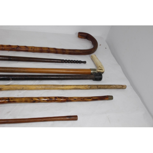 432 - QUANTITY OF GOOD WALKING STICKS 
112CM