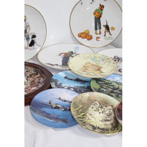 127 - QUANTITY OF DECORATIVE PLATES INCLUDING ROYAL DOULTON