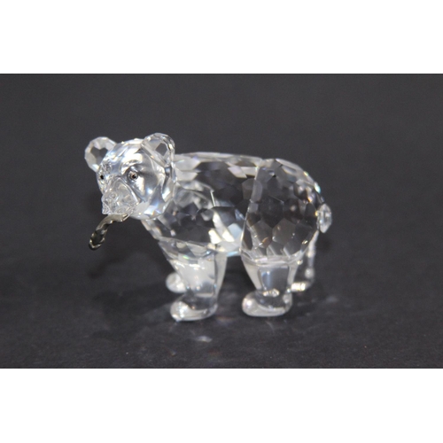 244 - SWAROVSKI BEAR WITH FISH