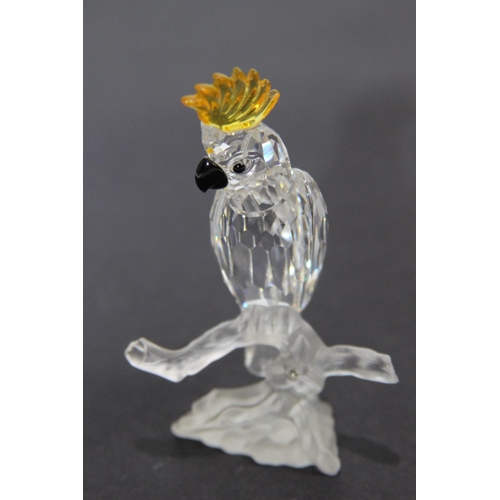 254 - SWAROVSKI BOXED PARROT