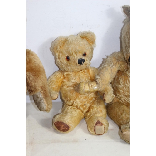 679 - 3 X VINTAGE TEDDY BEARS 
50CM