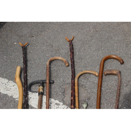 684 - QUANTITY OF WALKING STICKS