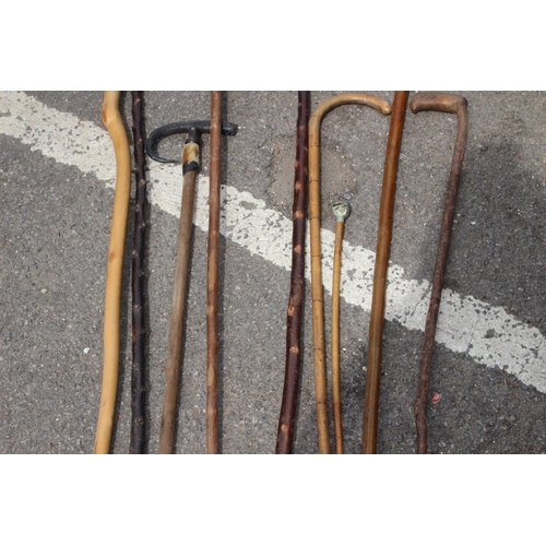 684 - QUANTITY OF WALKING STICKS