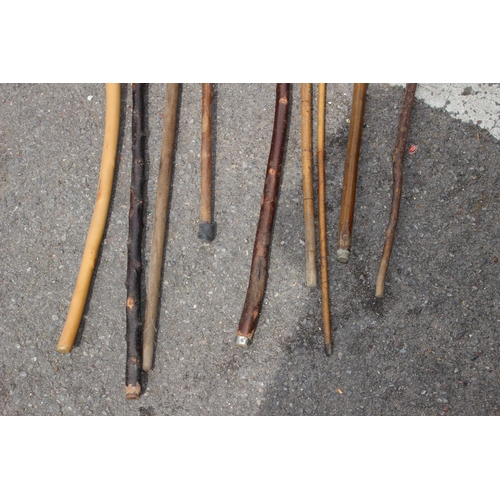 684 - QUANTITY OF WALKING STICKS