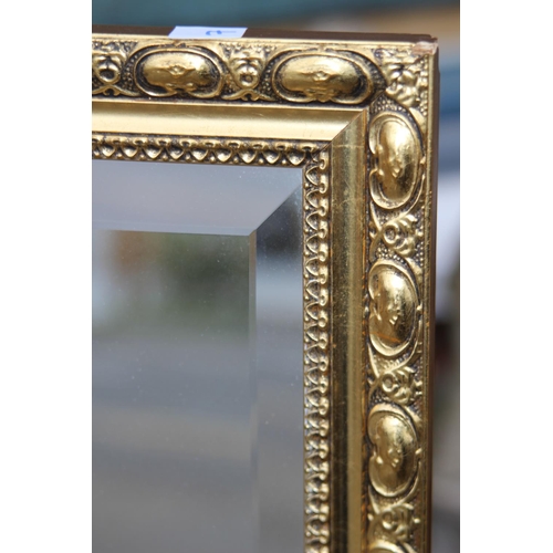 53 - BEVELLED DRESS MIRROR
124 X 39CM