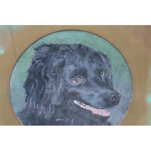 64 - ANTIQUE SIGNED WATERCOLOUR OF A DOG
61 X 61CM