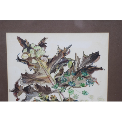 69 - SIGNED WATERCOLOUR STUDY OF FOLIAGE 
73 X 53CM