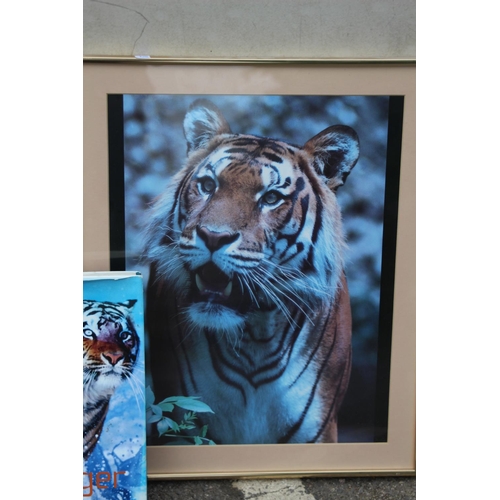 85 - 2 X TIGER PRINTS AND BOOK
84 X 67CM