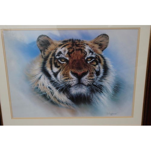 85 - 2 X TIGER PRINTS AND BOOK
84 X 67CM