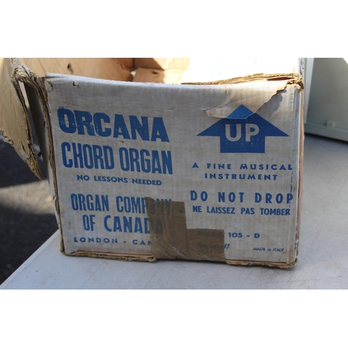 583 - ORACANA CHORD ORGAN